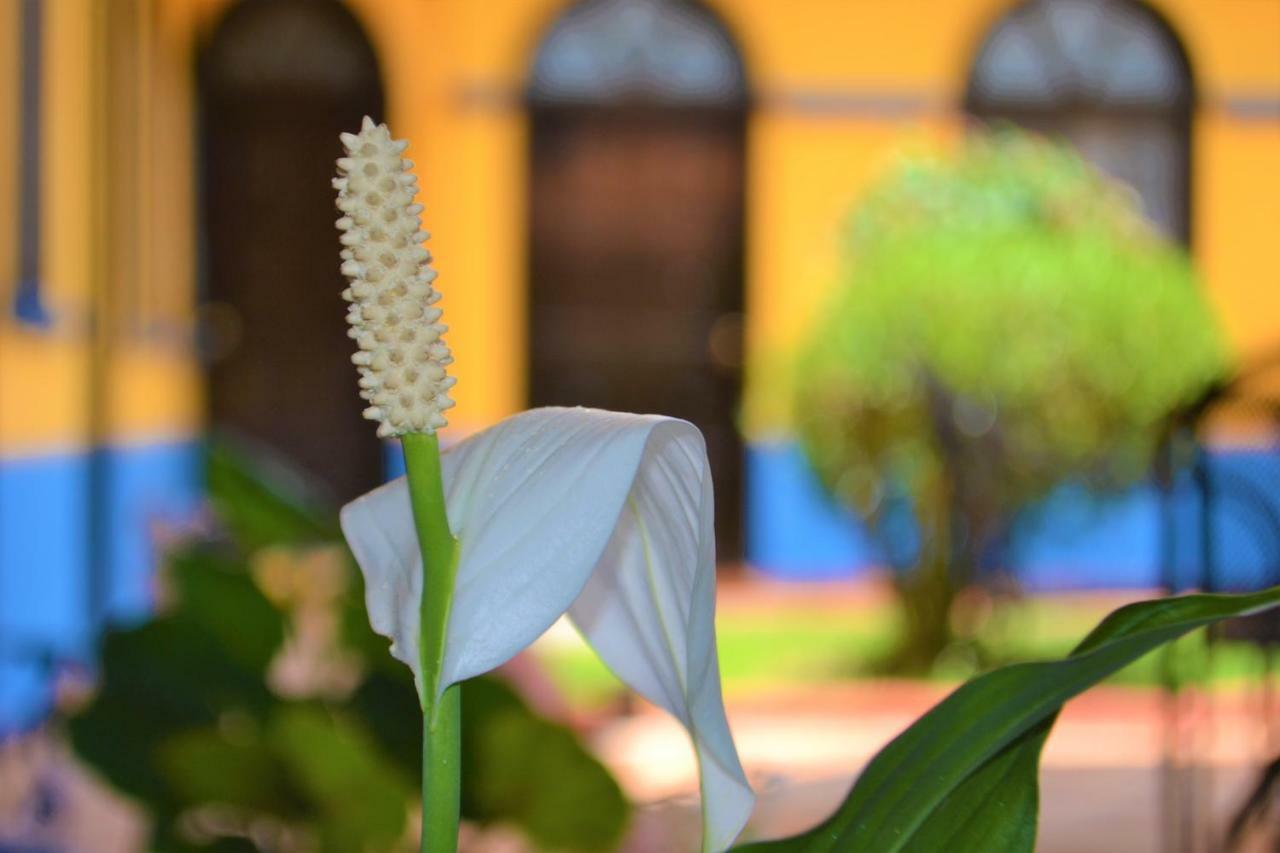 Hotel Delfin Comitan ภายนอก รูปภาพ